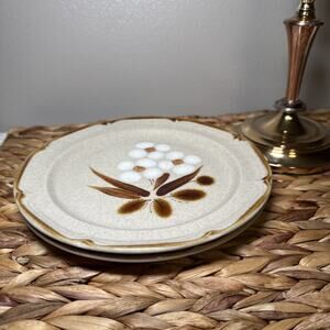 The Classics Hearthside Castlewood Set of 2 Salad Plates 7.5" Hand Painted Japan